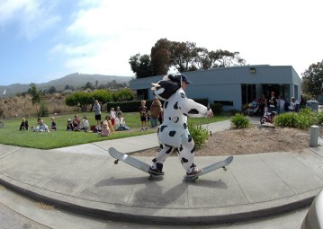 Barbara as 'Skate Cow'. Photo: Dan Hughes